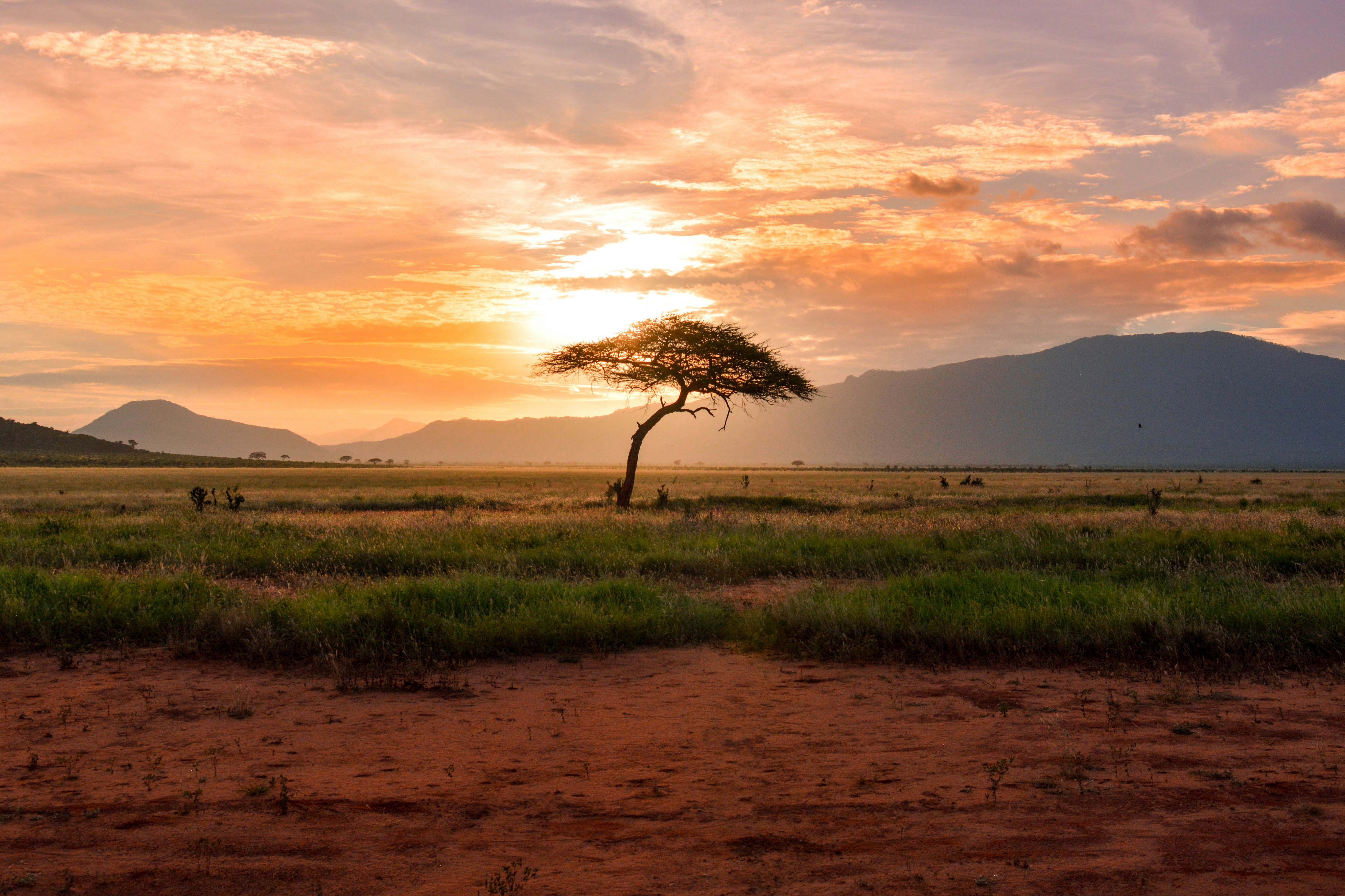 Secrets sauvages du Kenya : Samburu & Ol Pejeta