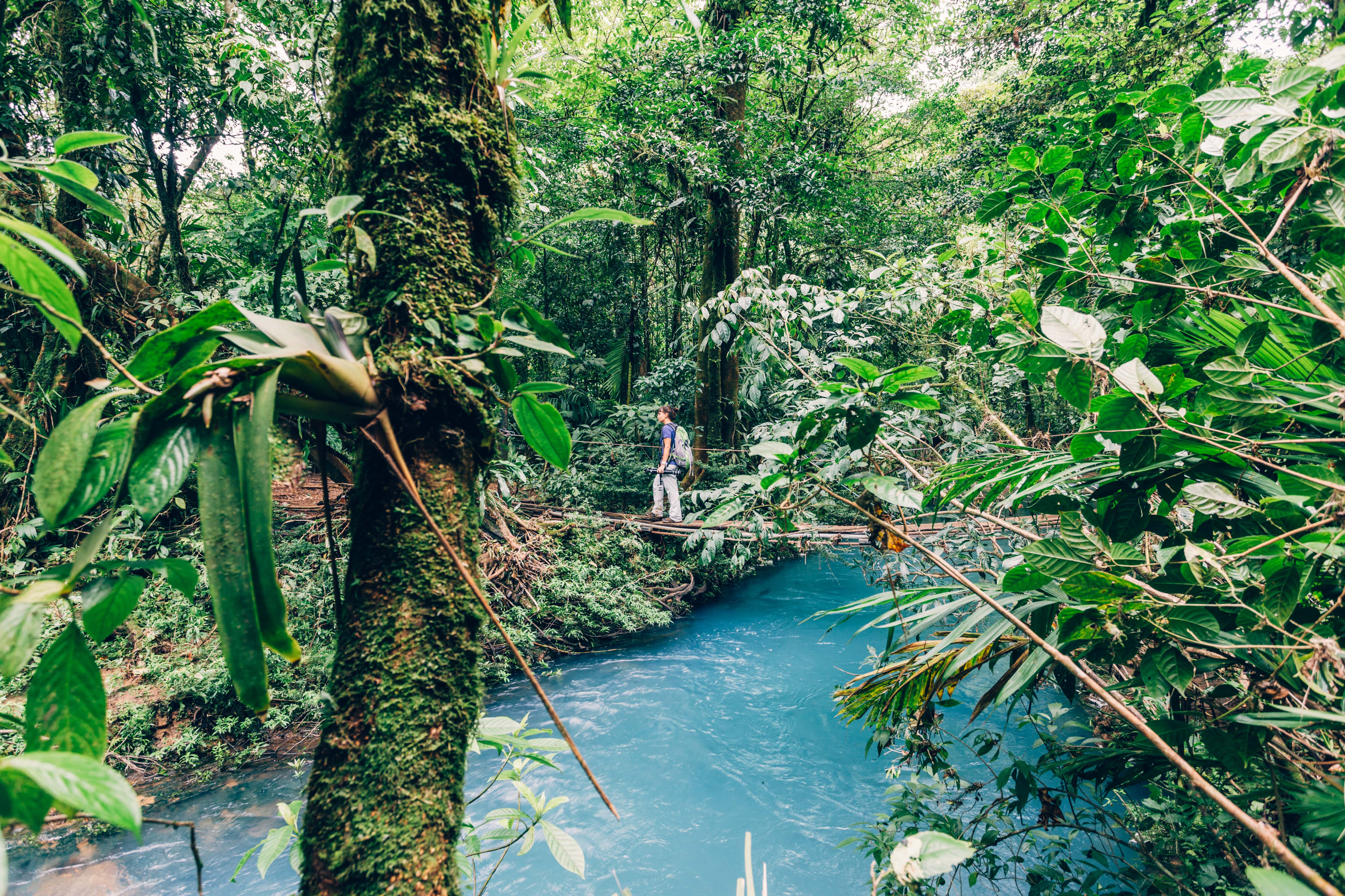 Costa Rica en liberté : nature, volcans et plages