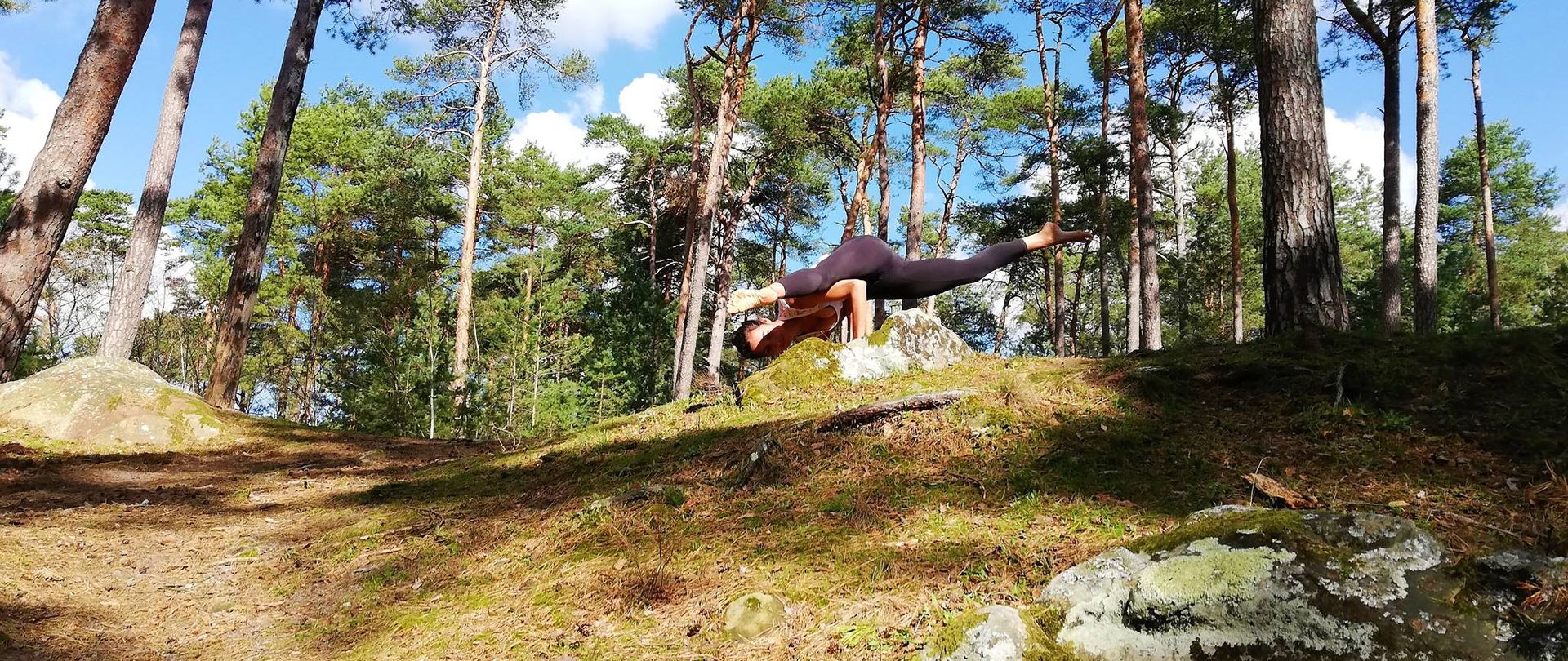 Stage yoga au cœur de la Forêt de Fontainebleau 