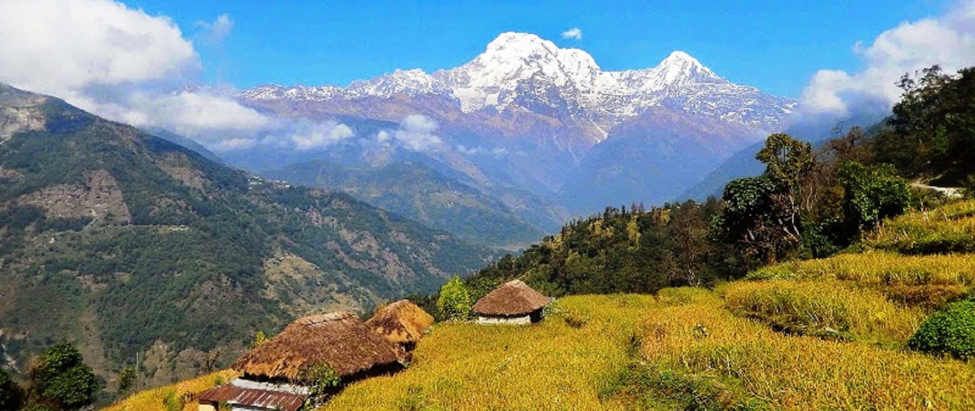Des plaines du Teraï à l'Annapurna-2