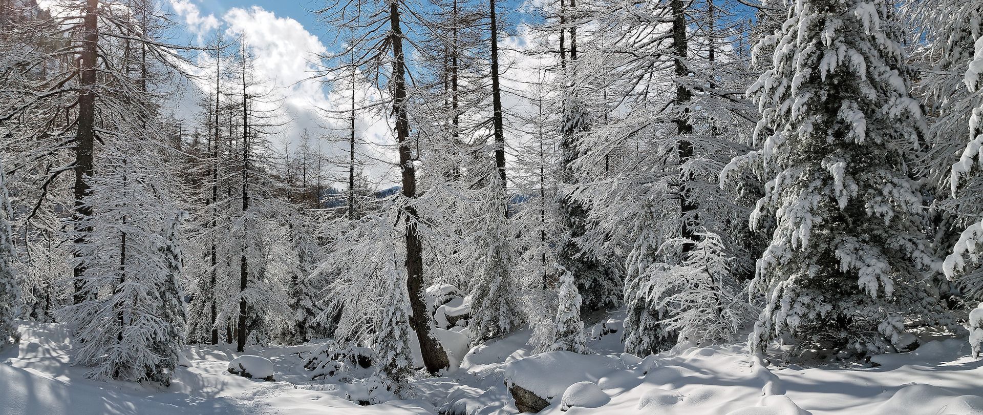 Séjour multi-activités neige dans les Alpes du sud