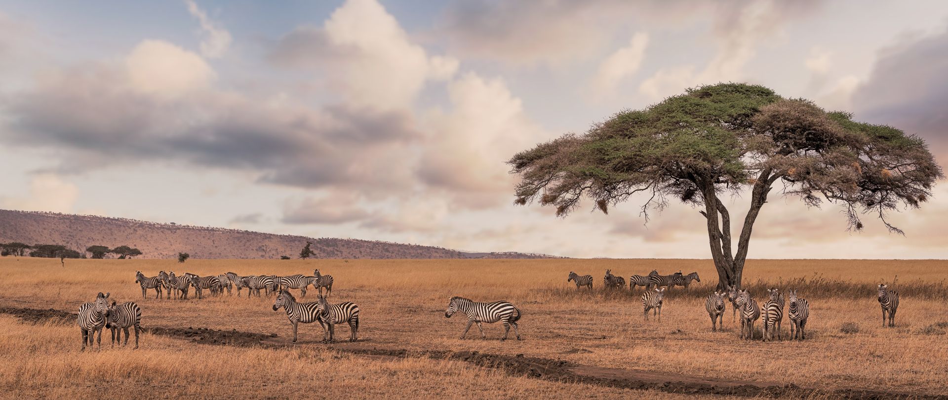 Tour complet de la Tanzanie en Safari