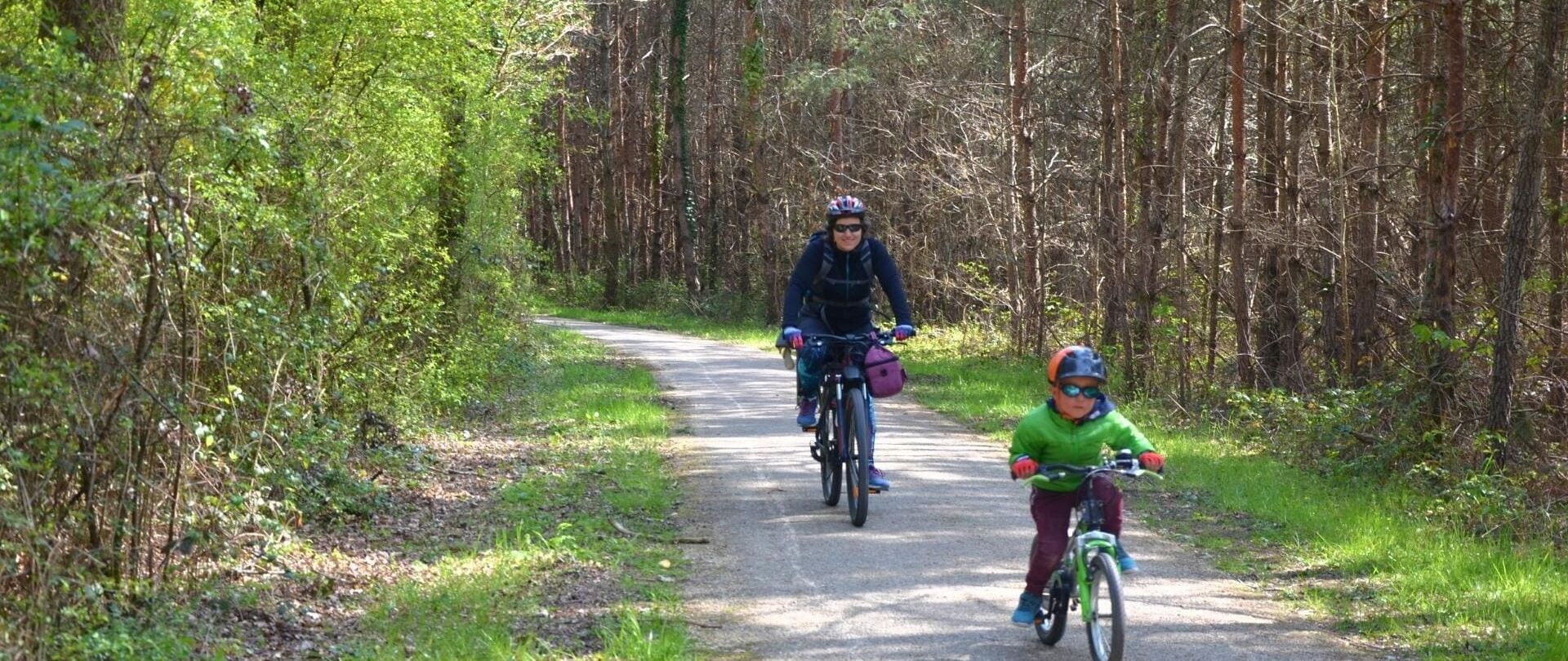 Randonnée à vélo le long de la Loire d'Amboise à Saumur