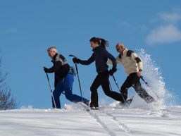 françois-r-Moniteur de ski nordique-2