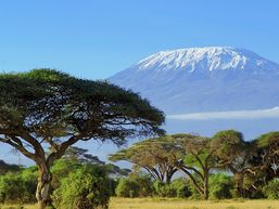 Parc National d'Amboseli