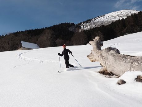 françois-r-Moniteur de ski nordique-4