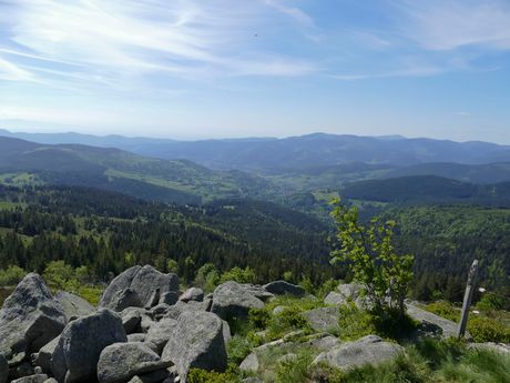 Panorama sur le Massif des Vosges