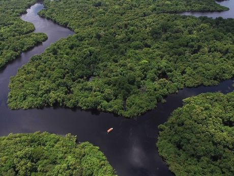 Vue aérienne sur la forêt amazonienne