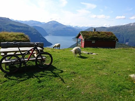 Mountain Bike Geiranger Fjord