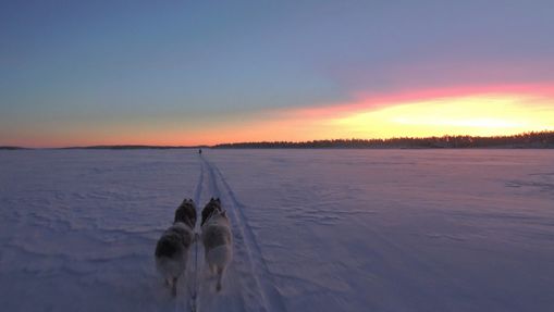 Raid en chien de traineau sur le lac Inari-5