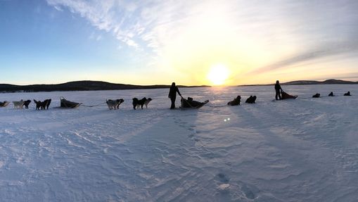 Raid en chien de traîneau sur le lac Inari