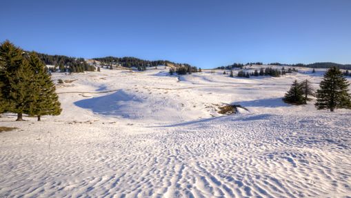 Raid hivernal dans les grands espaces du Jura