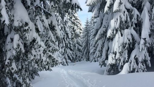 Raid hivernal dans les grands espaces du Jura