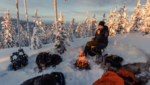 Fête de fin d'année en Laponie