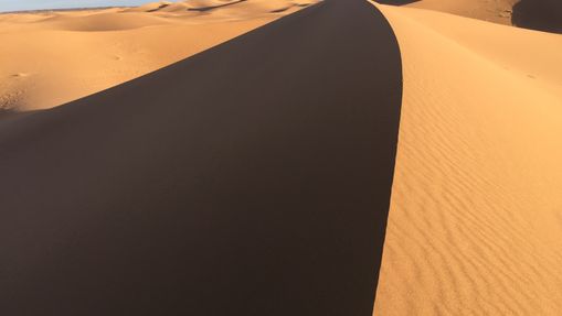 Palmeraie et dunes du Drâa-2