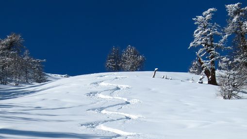 Séjour ski de randonnée en Pays du Viso-1