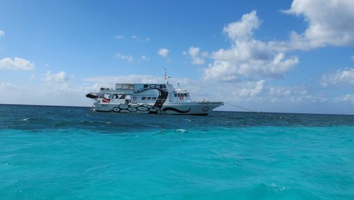 Croisière plongée dans la Péninsule du Yucatán-1