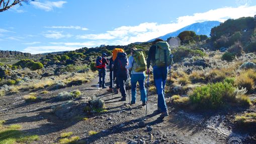 Ascension du Kilimandjaro : Voie Machame