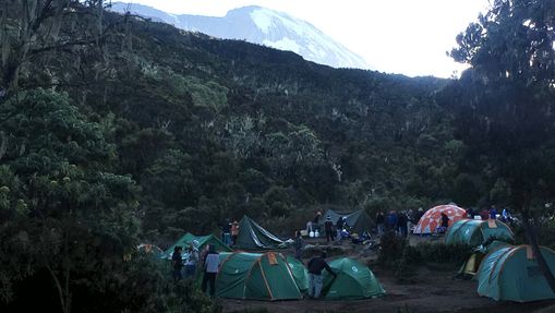 Kilimandjaro : Voie Machamé & Safari au Serengeti 