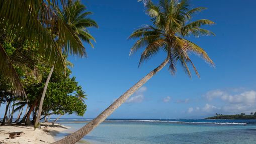 Polynesia Dream 