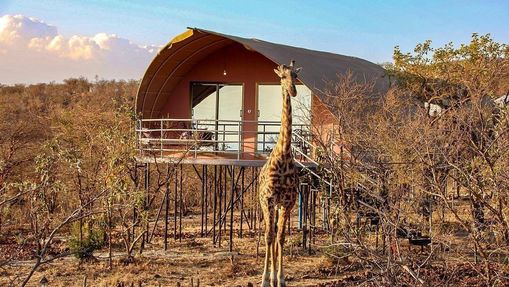 Grands parcs en version luxe - safari privé