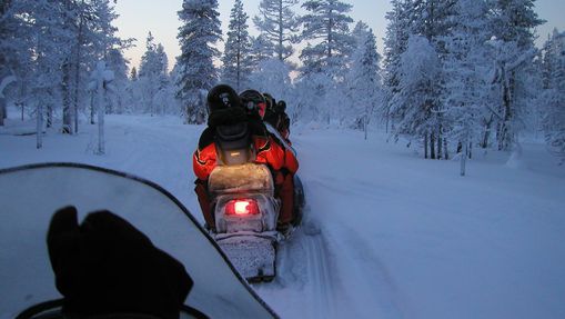 Raid motoneige & chien de traineau en Laponie