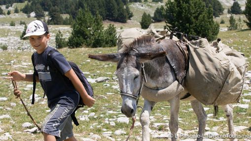 Trek en famille avec les ânes au bord de la Drôme