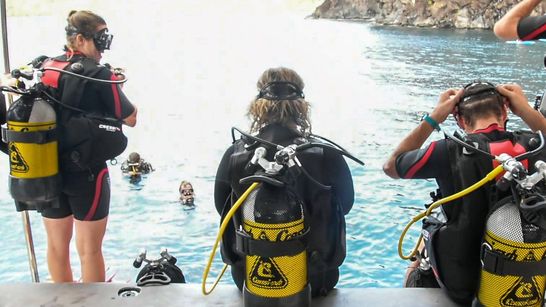 Croisière et plongée sous-marine aux Grenadines