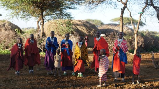 Tanzanie du Nord & rencontre Maasaï