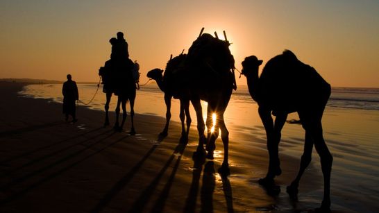 Trek sur la côte Atlantique au Sud d'Essaouira