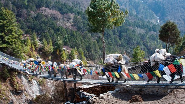 Stage de survie au Nepal, au pied de l'Everest