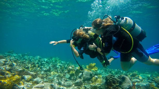 Croisière et plongée sous-marine aux Grenadines-1