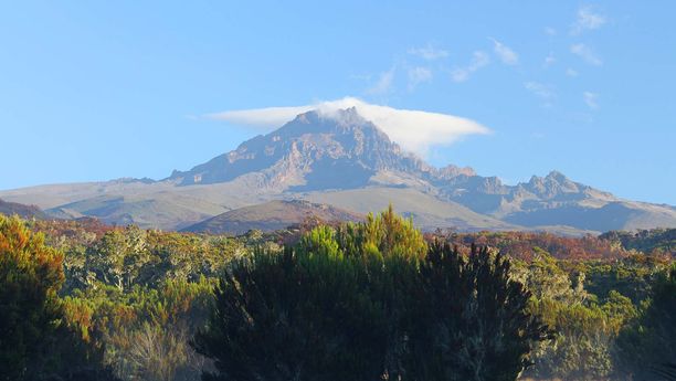 Kilimandjaro : Voie Marangu & Safari 3 jours