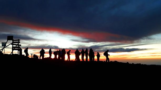 Kilimandjaro : Voie Machamé & Safari 5 jours