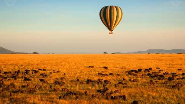 Safari luxe & vol en Montgolfière en Tanzanie
