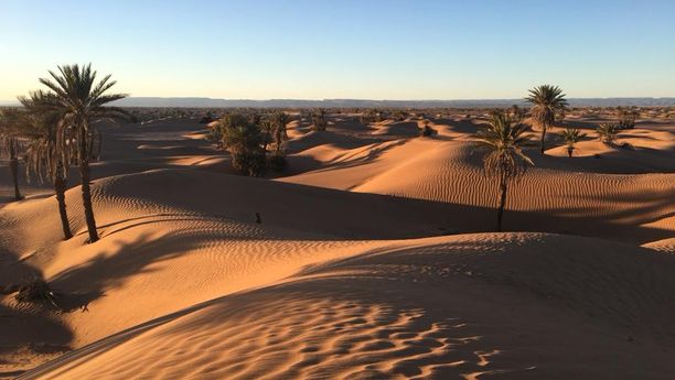 Aux portes du désert