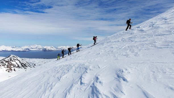 Ski de randonnée dans les Alpes de Lyngen