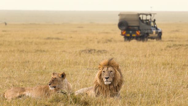 Safari & randonnée en terres Masaï