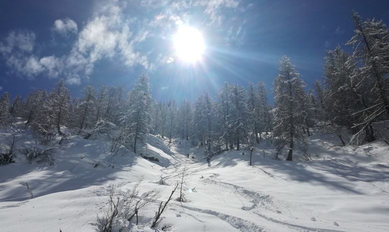 Val Maira paradis ski rando-6
