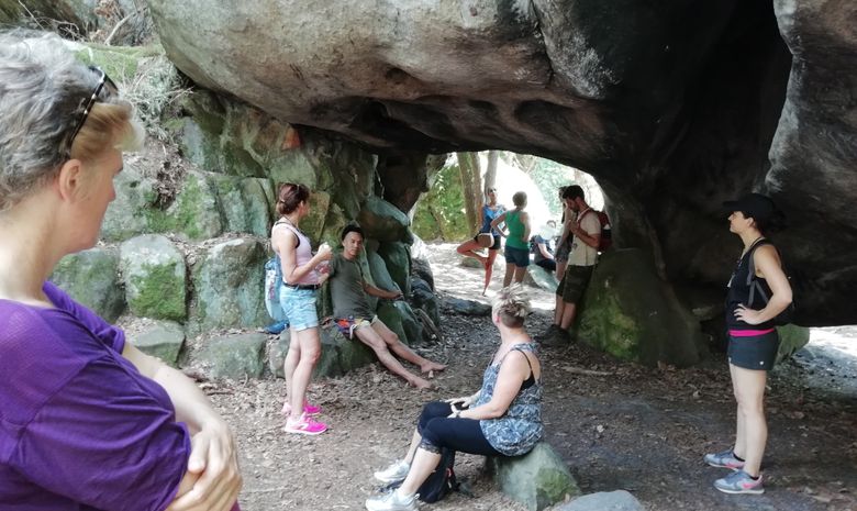 Stage yoga & naturopathie en forêt à Fontainebleau
