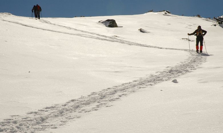 Ascension du Dôme des Ecrins à skis-4
