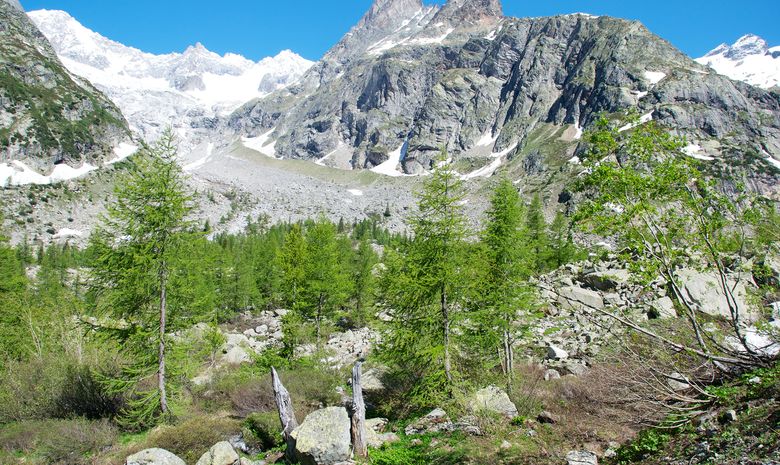 Chamonix-Zermatt en trail - 7 jours-5