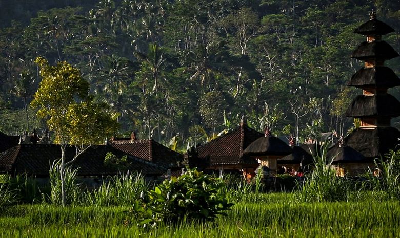 Village traditionnel entouré de rizières