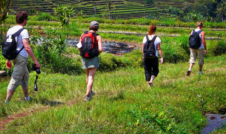 Randonnée à travers les rizières de Belimbing