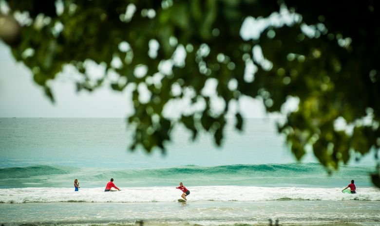 Surf-camp sur les plus belles plages du Sri-Lanka