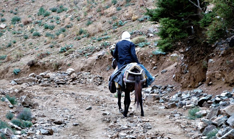 Trek dans le massif du Siroua - trek privatisé