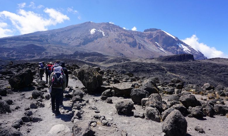 Ascension du Kilimandjaro - Marangu Route-1