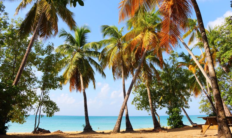 Croisière cabine Martinique & Ste Lucie