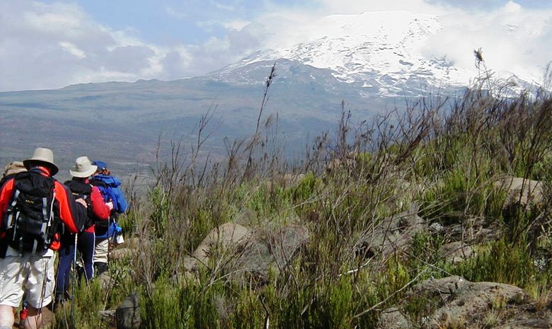 montée vers le Kilimandjaro