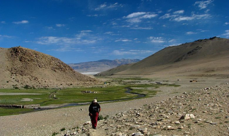 Trail au coeur du Ladakh-7